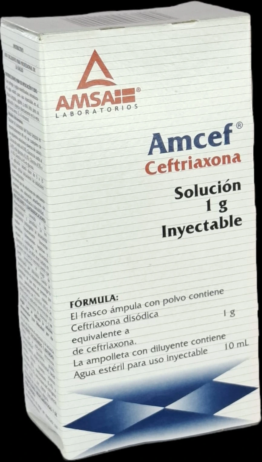 Producto 6